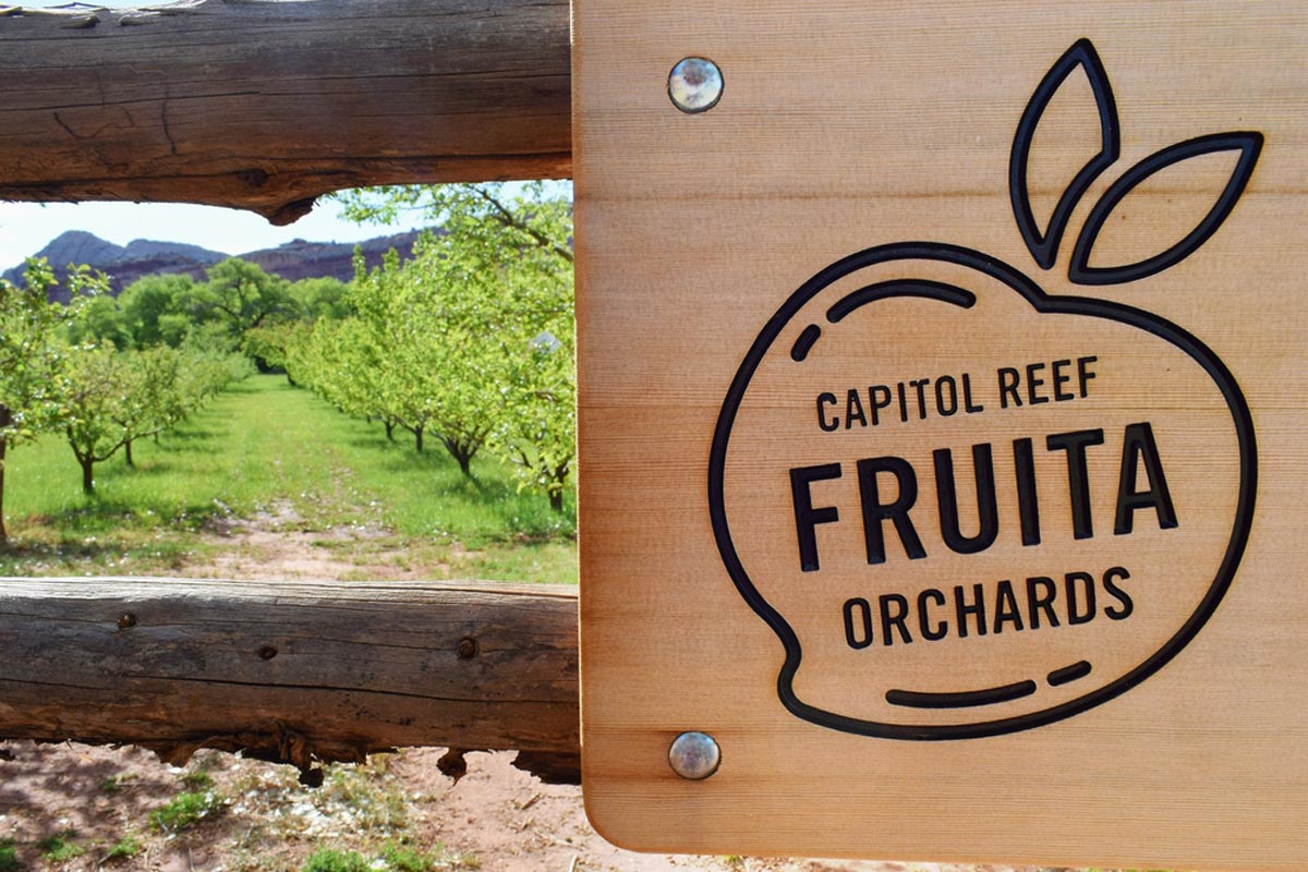 Capitol Reef Fruita-Orchards