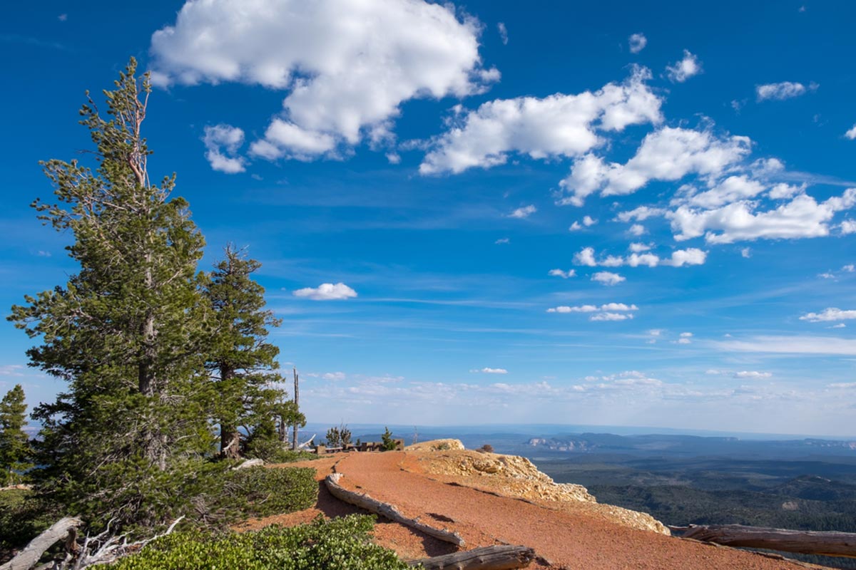 Bristlecone Loop Trail