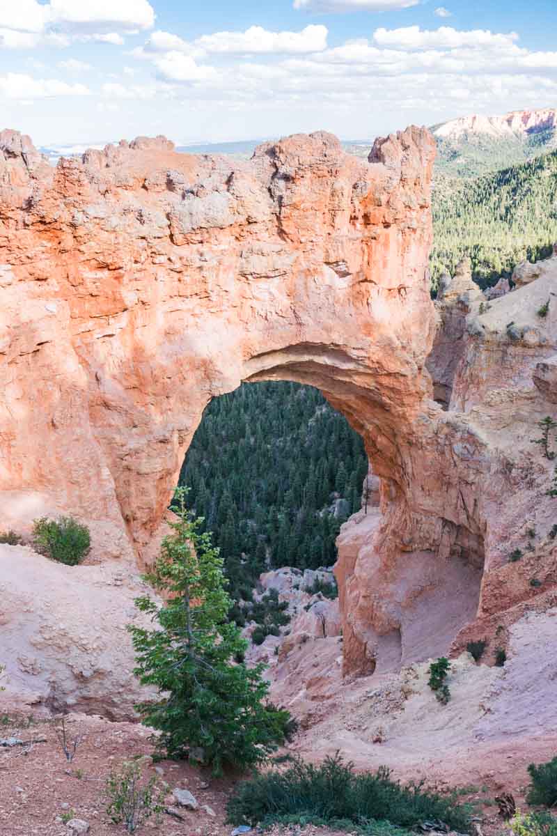 Bryce Canyon National Park - Natural Bridge-1