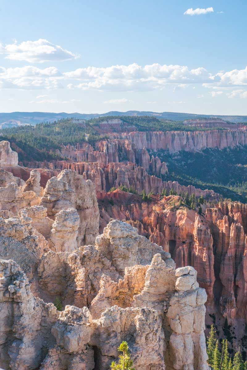 Bryce Canyon National Park - Rainbow Point-3