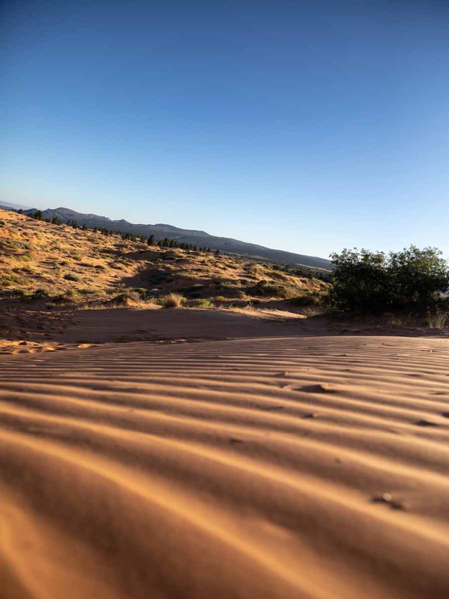 Coral Pink Sand Dunes State Park