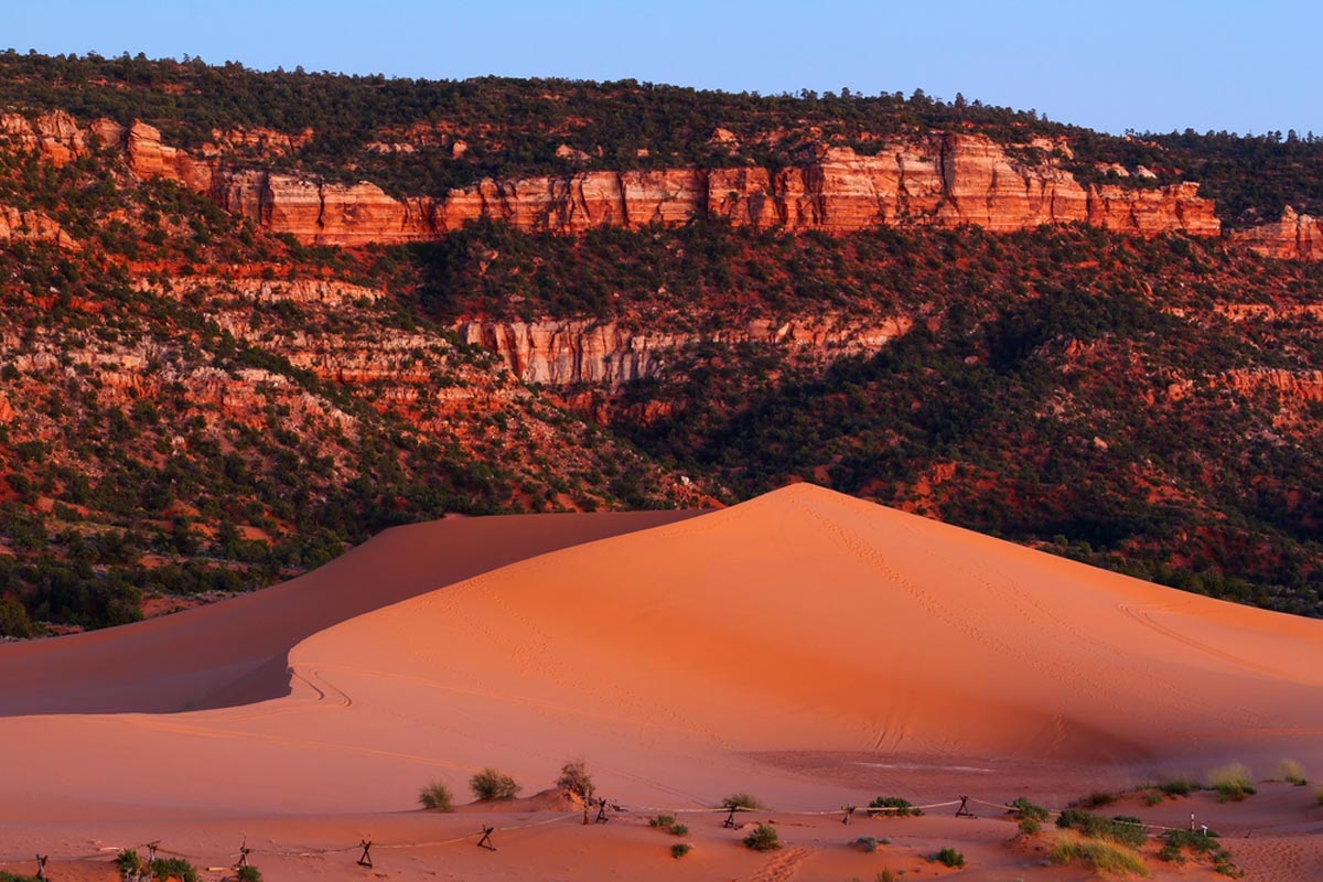 Coral Pink Sand Dunes State Park