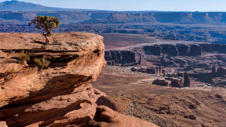 Best Hikes in Canyonlands National Park
