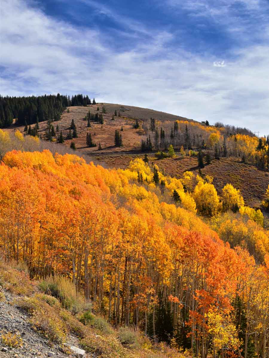 Guardsman Pass Scenic Backway 