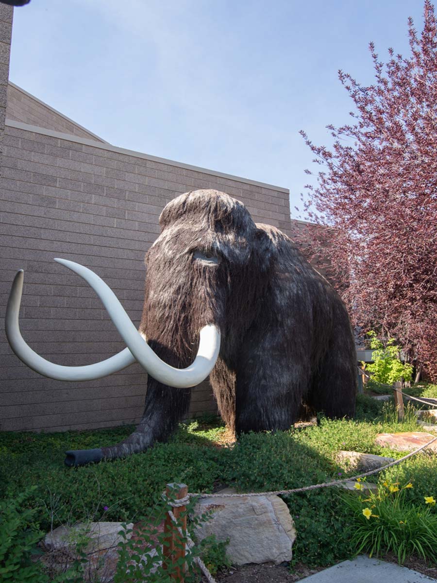 Natural History Museum of Utah