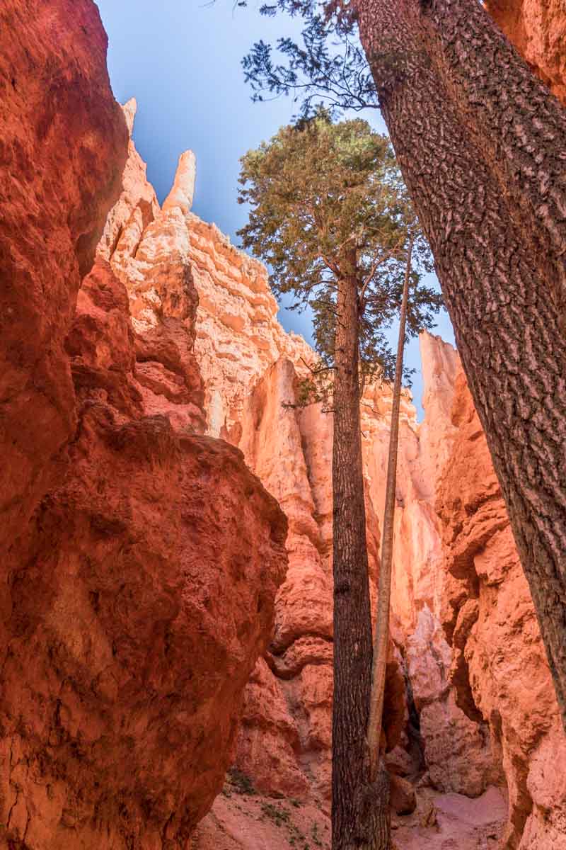 Navajo Trail Hike Bryce Canyon-2