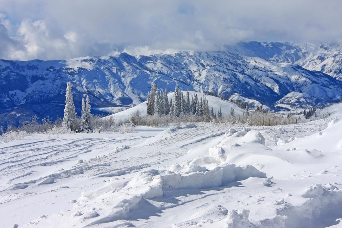 Powder Mountain Resort