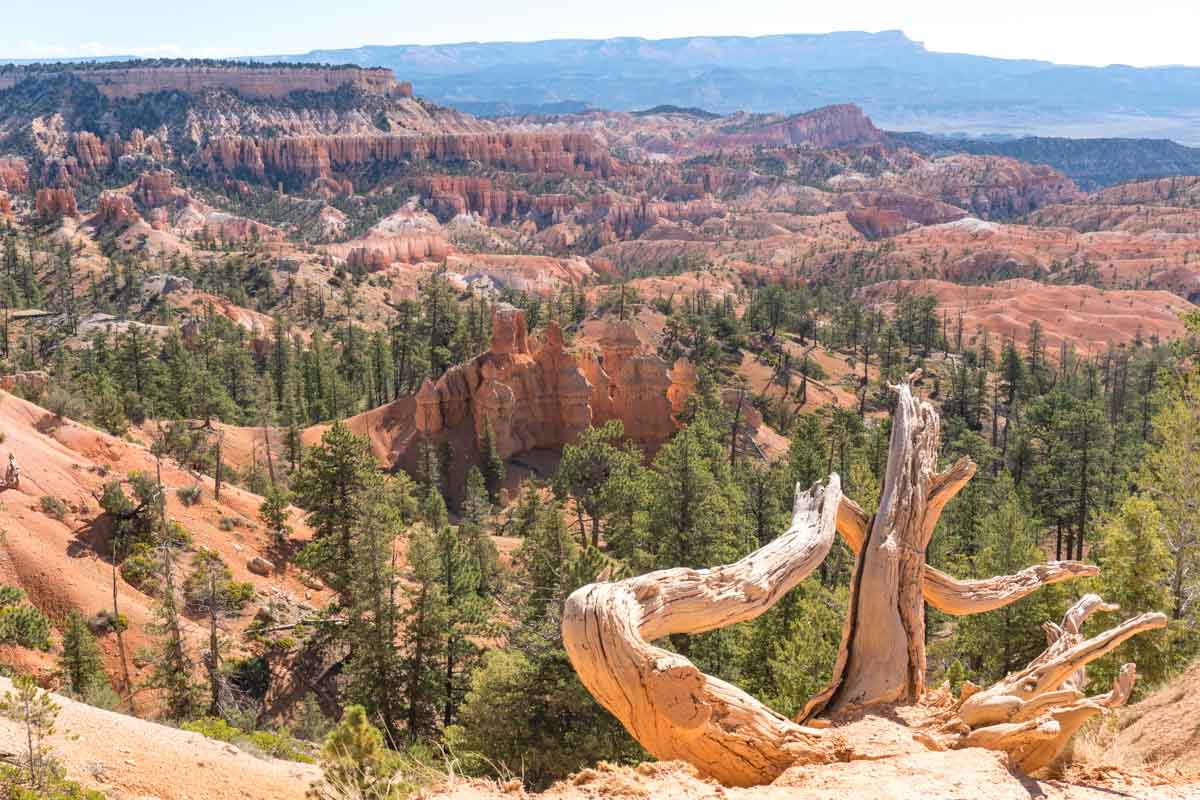 Queen's Garden Trail Hike Bryce Canyon-3