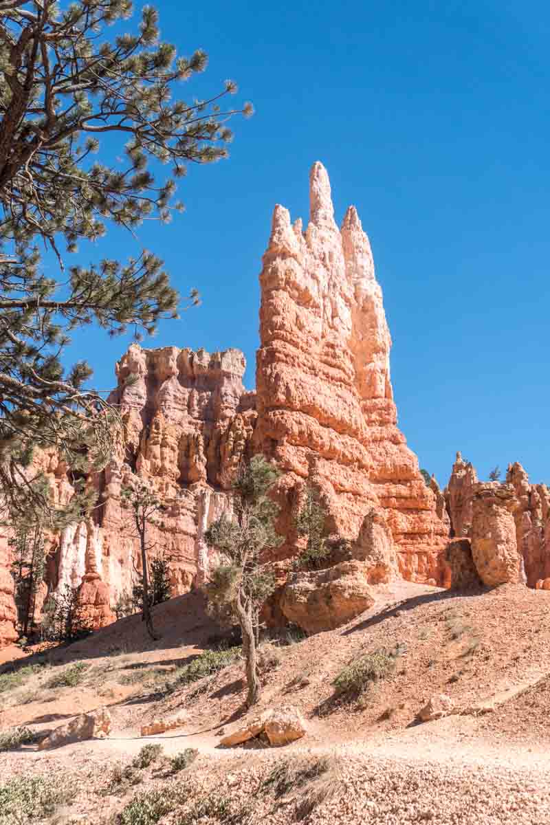 Queen's Garden Trail Hike Bryce Canyon-8