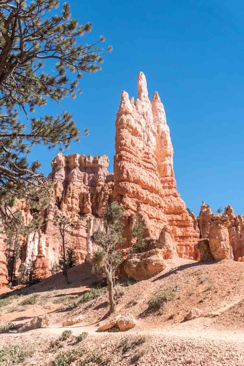 Bryce Canyon S Hoodoos A Visitors Guide Insider S Utah