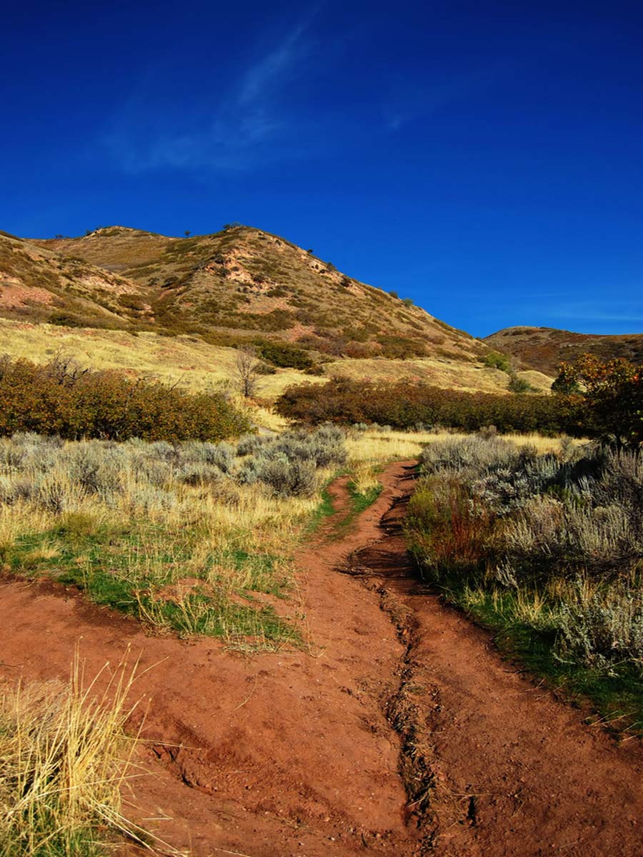 Red Butte Garden