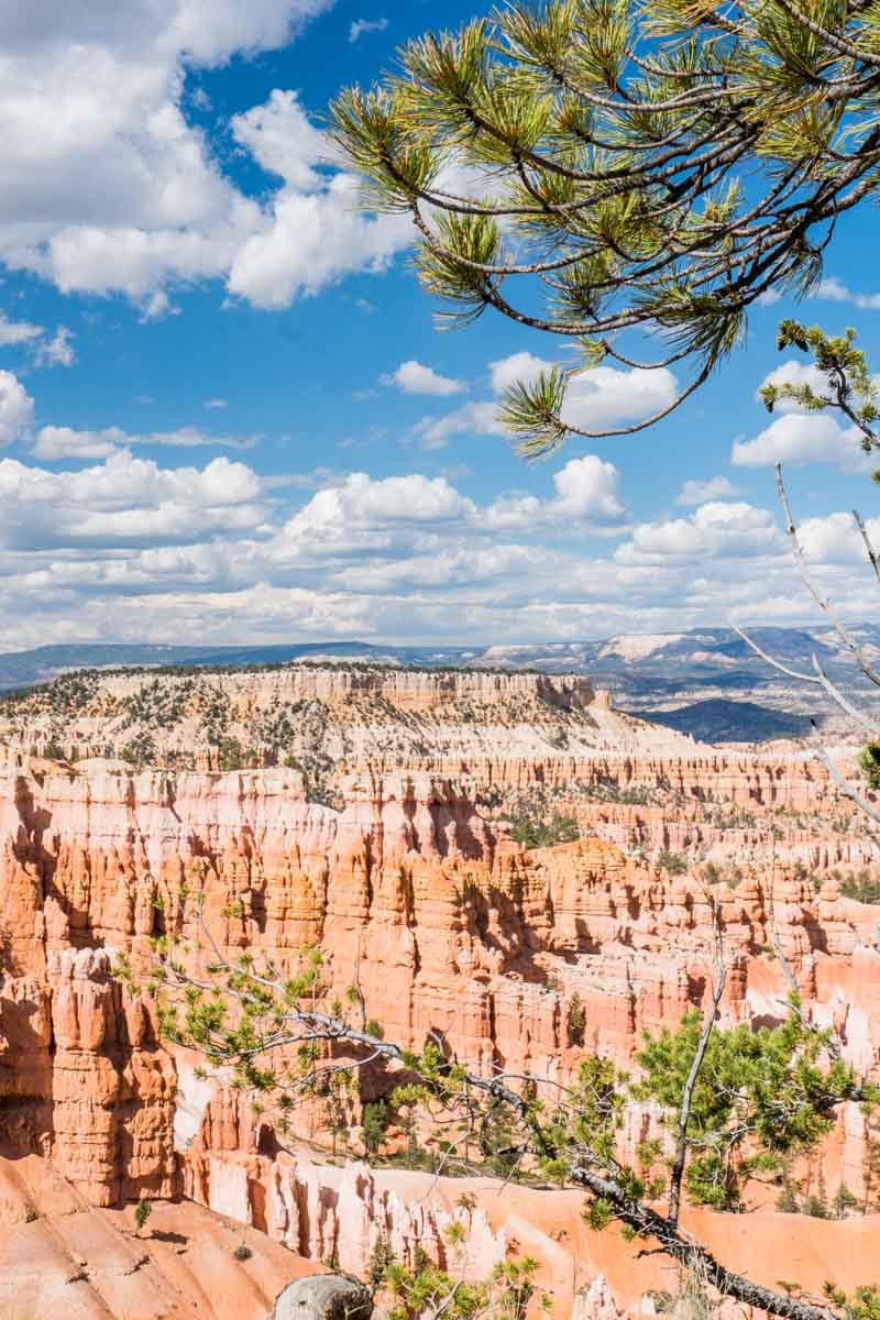 Sunrise Point Bryce Canyon National Park-4