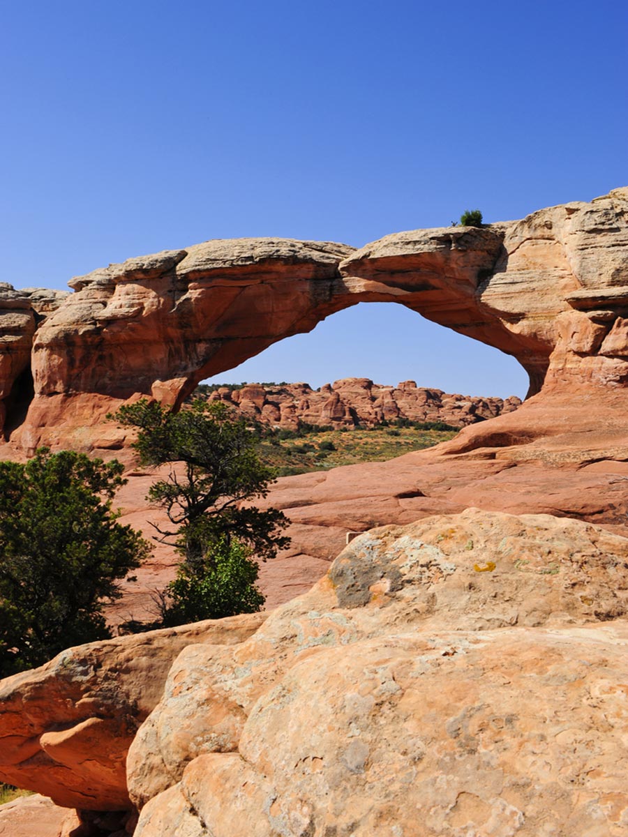 Tapestry Arch 