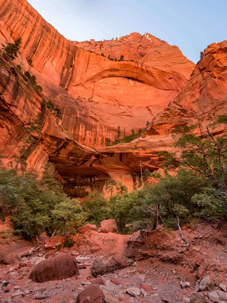 Taylor Creek Canyon Trail