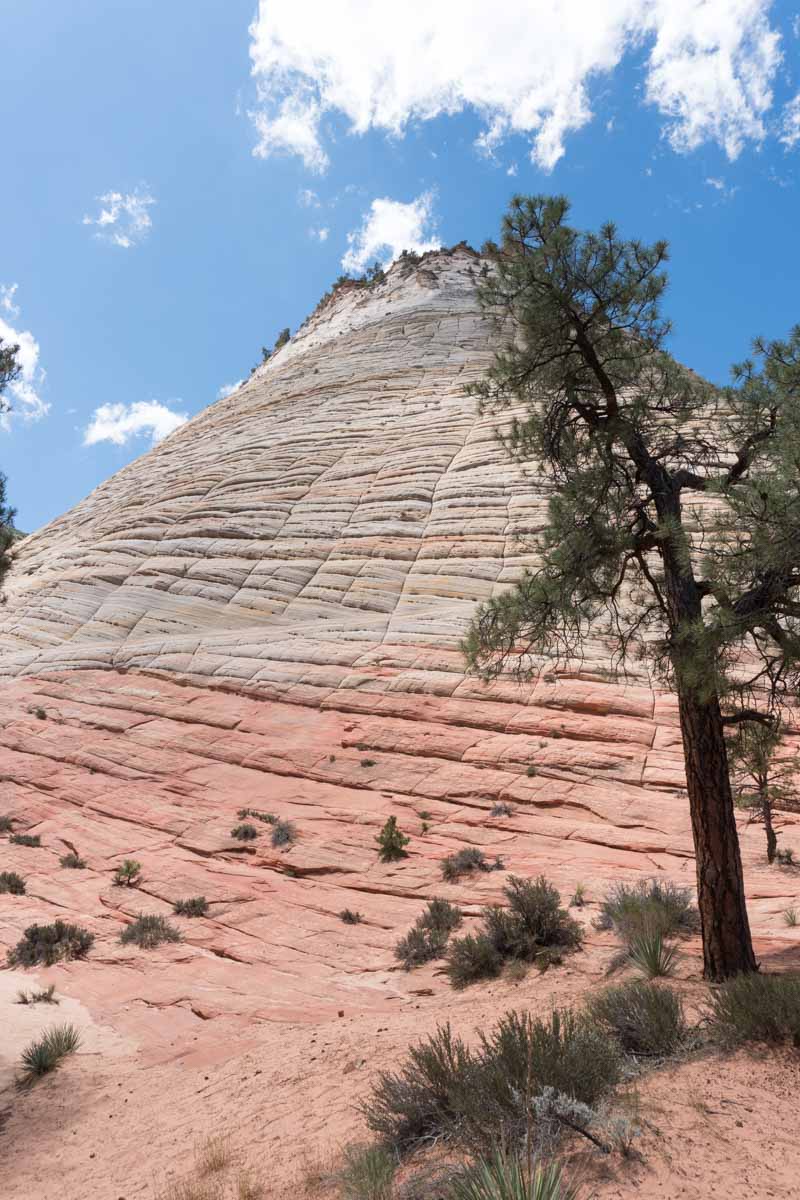 Zion National Park - Checkerboard Mesa-1