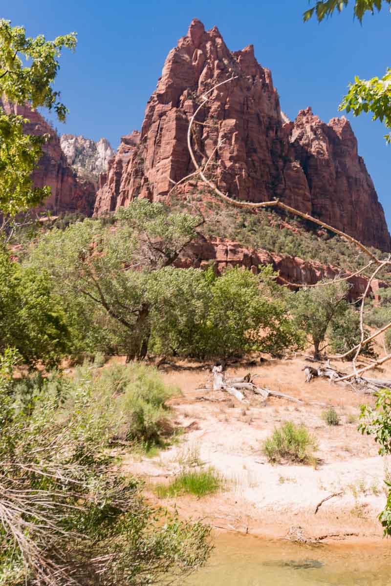 Zion National Park - Court of the Patriarchs Hike -2