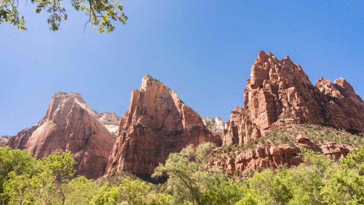 2 Days in Zion | The Ultimate Zion National Park Itinerary