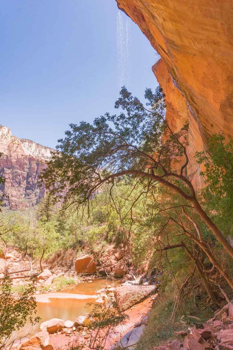 Zion National Park