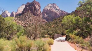 Zion National Park - Pa'Rus Trail Hike -2