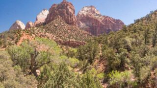 Zion National Park - Pa'Rus Trail Hike -4