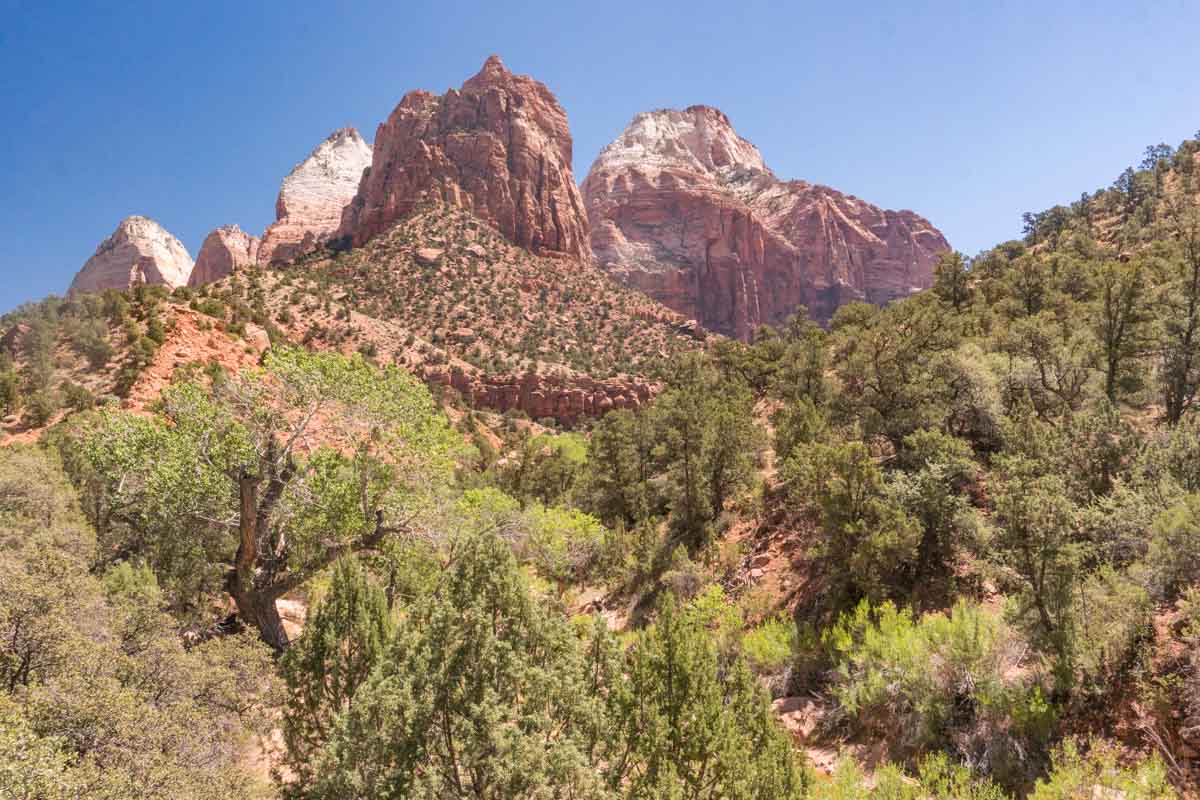 Zion National Park - Pa'Rus Trail Hike -4