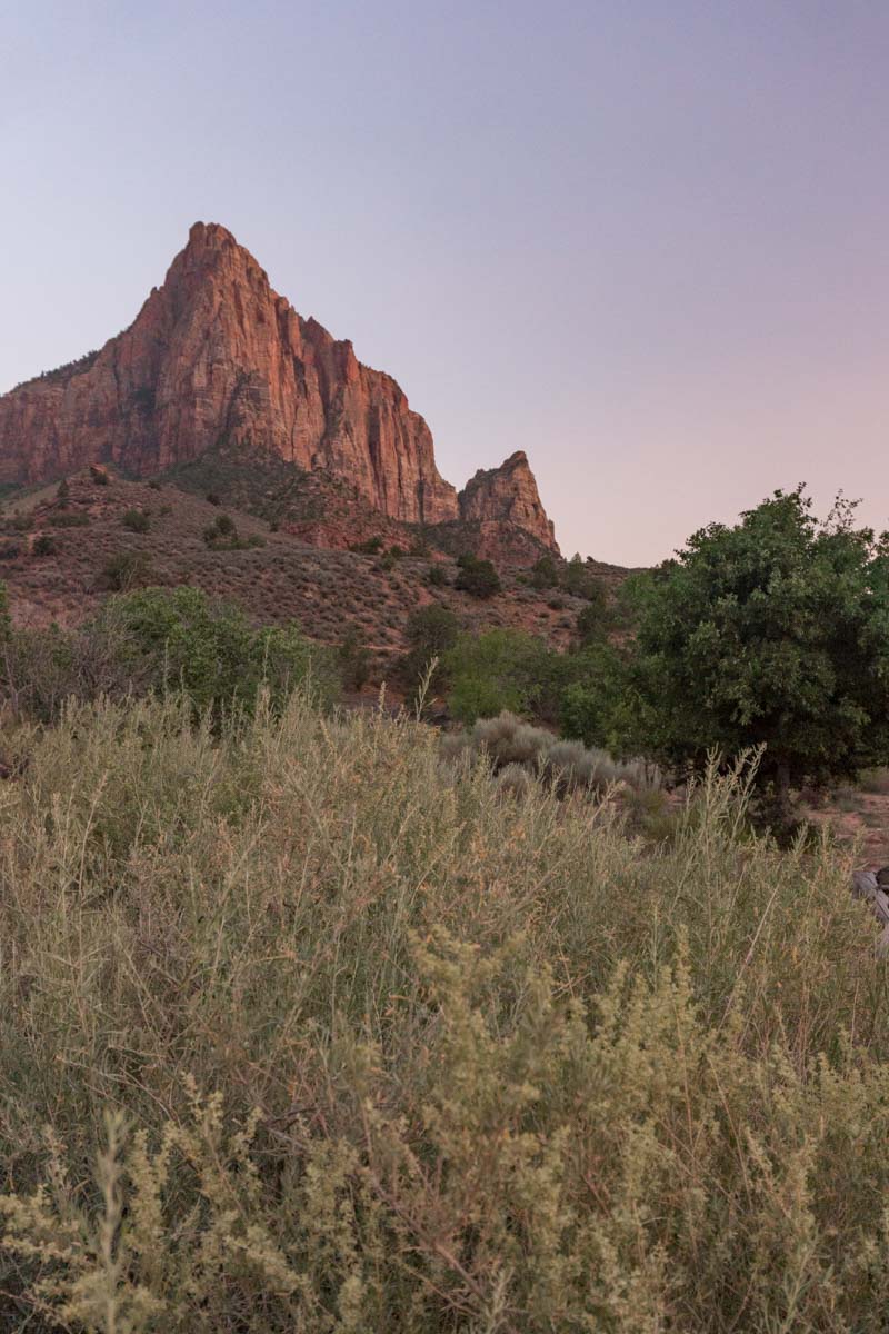 Zion National Park - Pa'Rus Trail Sunset