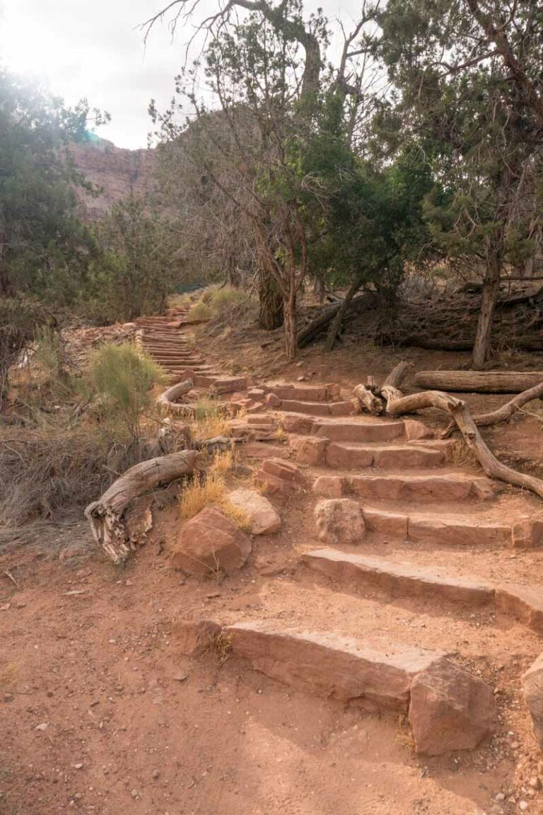 On the Watchman Trail, Zion National Park