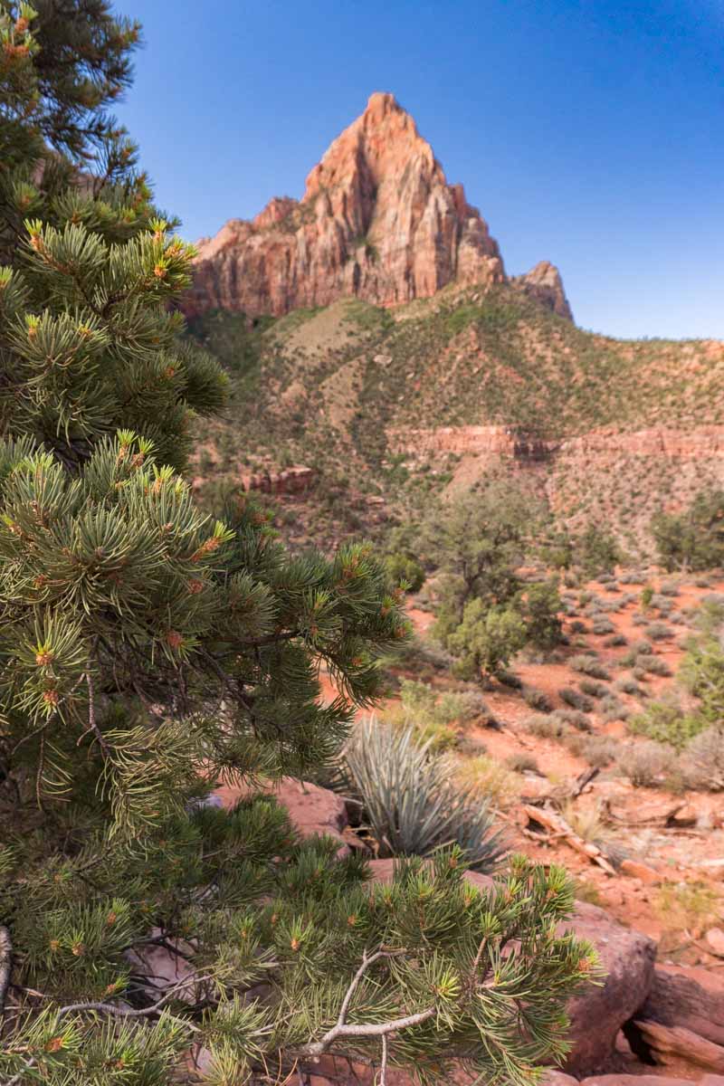 Zion National Park - Watchman Trail Hike -1