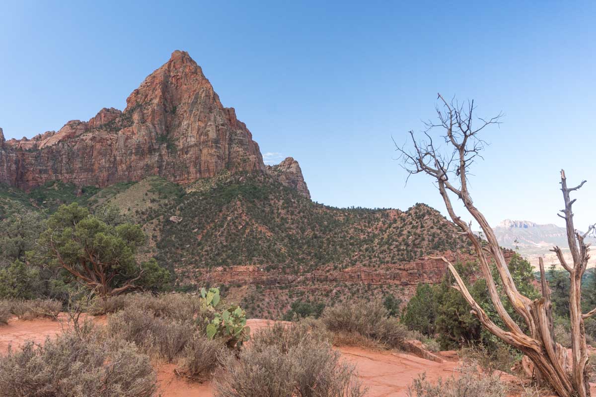 Zion National Park - Watchman Trail Hike -2