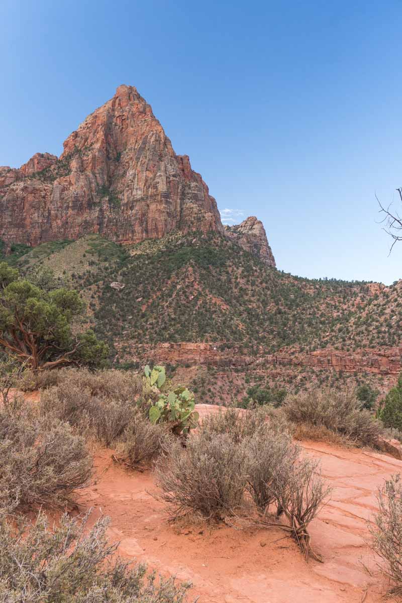 Zion National Park - Watchman Trail Hike -3