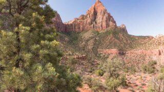 Zion National Park - Watchman Trail Hike -3