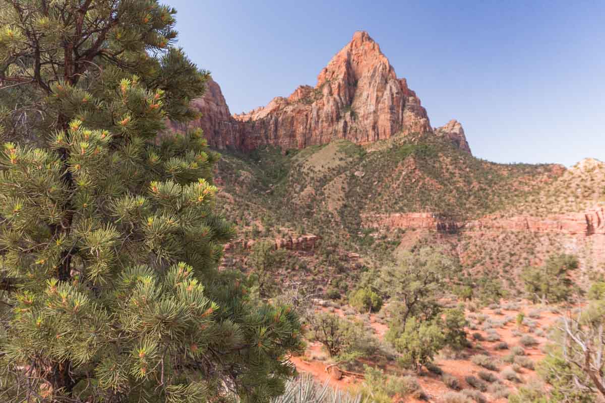 Zion National Park - Watchman Trail Hike -3