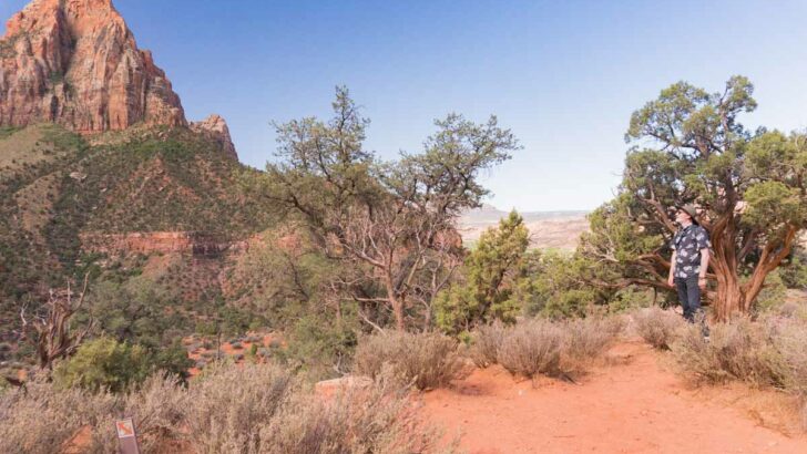 How to Hike the Watchman Trail, Zion National Park