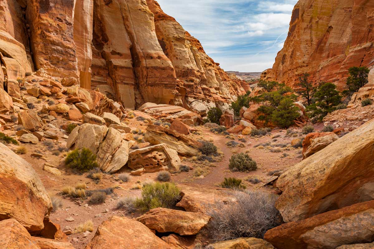 Cohab Canyon Trail, Capitol Reef National Park, Utah