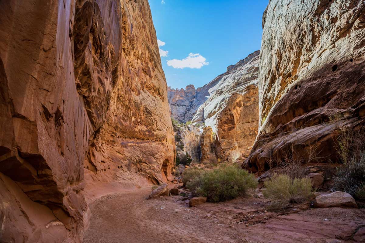 Grand wash trail clearance capitol reef national park