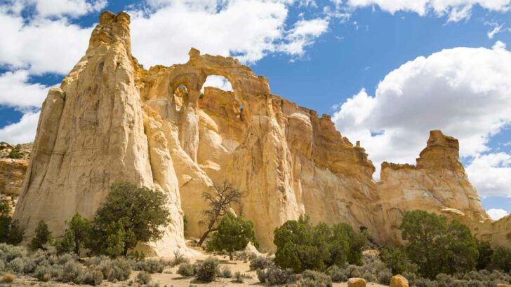 The Best Things To Do in Grand Staircase Escalante National Monument