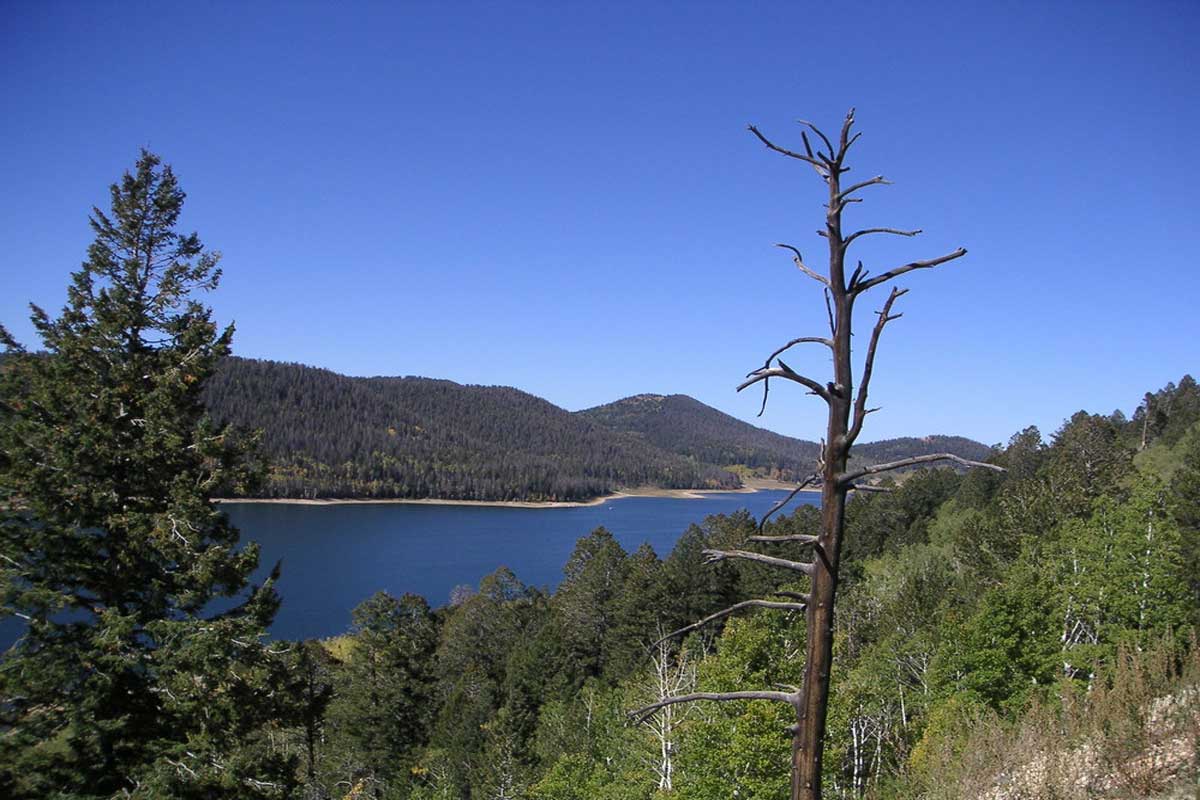 Kings Creek - Dixie National Forest 