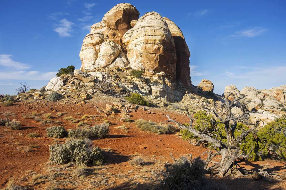 Navajo Knobs Trail