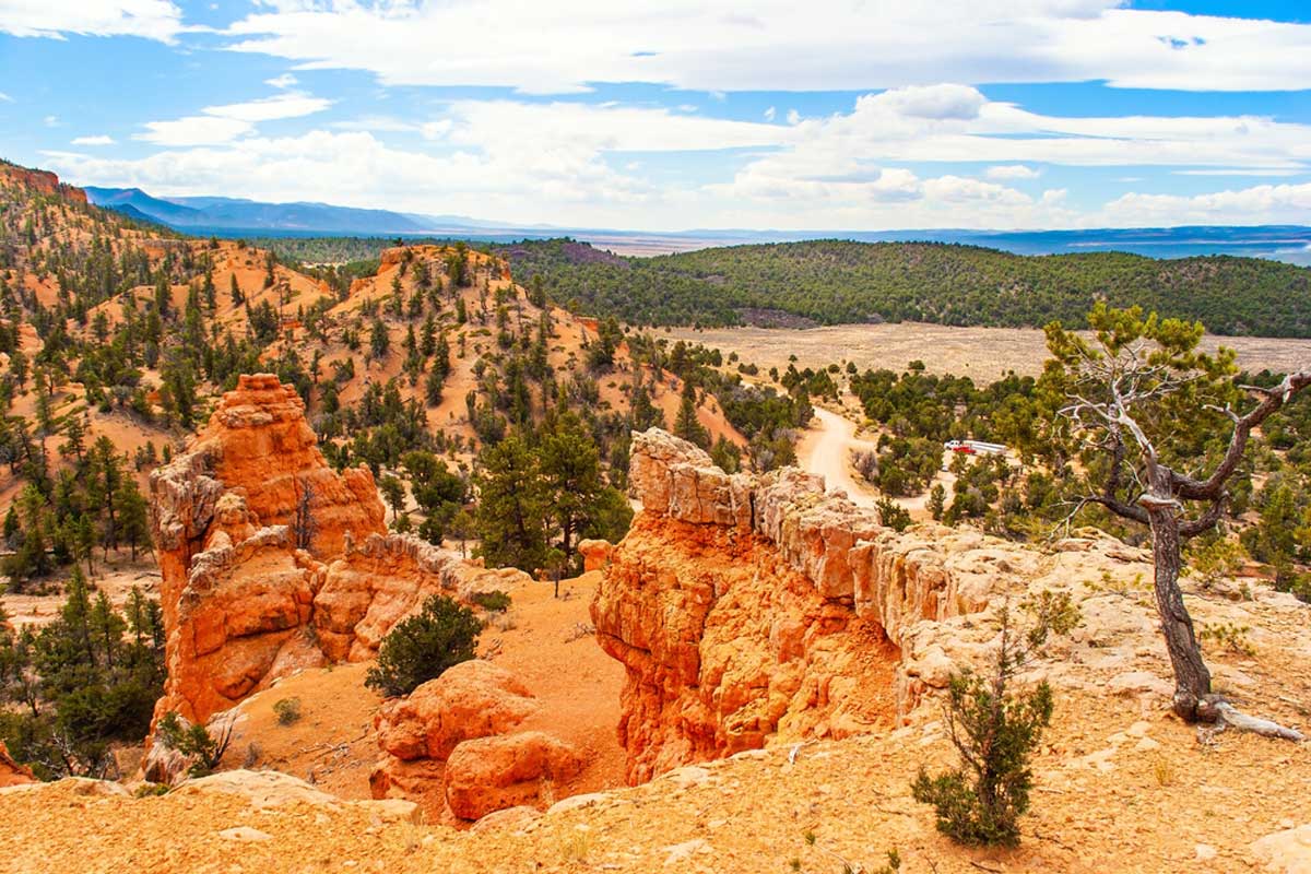 Red Canyon Utah