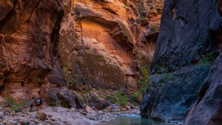 How to Hike The Narrows, Zion National Park