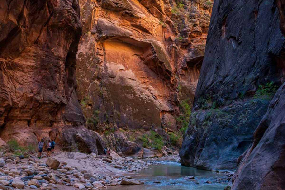 The Narrows trail in Zion National Park