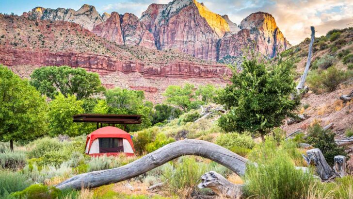 Zion National Park Camping Guide: Best Campgrounds + Practical Tips