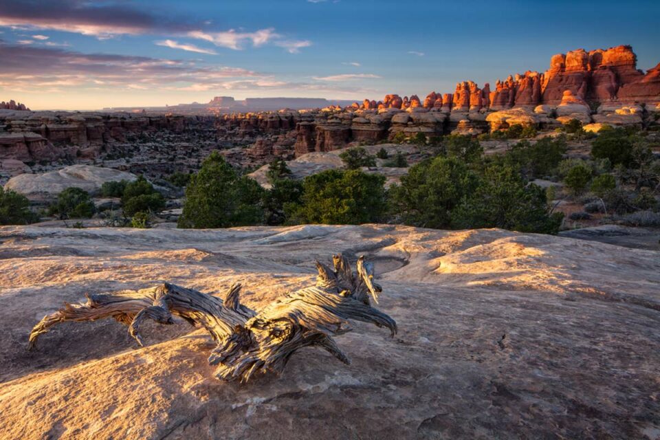 Visiting The Needles In Canyonlands National Park – Insider's Utah