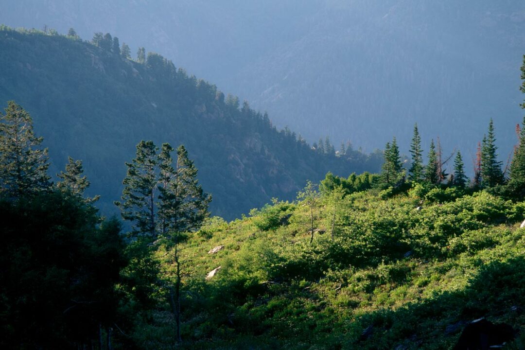 Best Hikes in Salt Lake City: 15 Epic Trails Insider s Utah