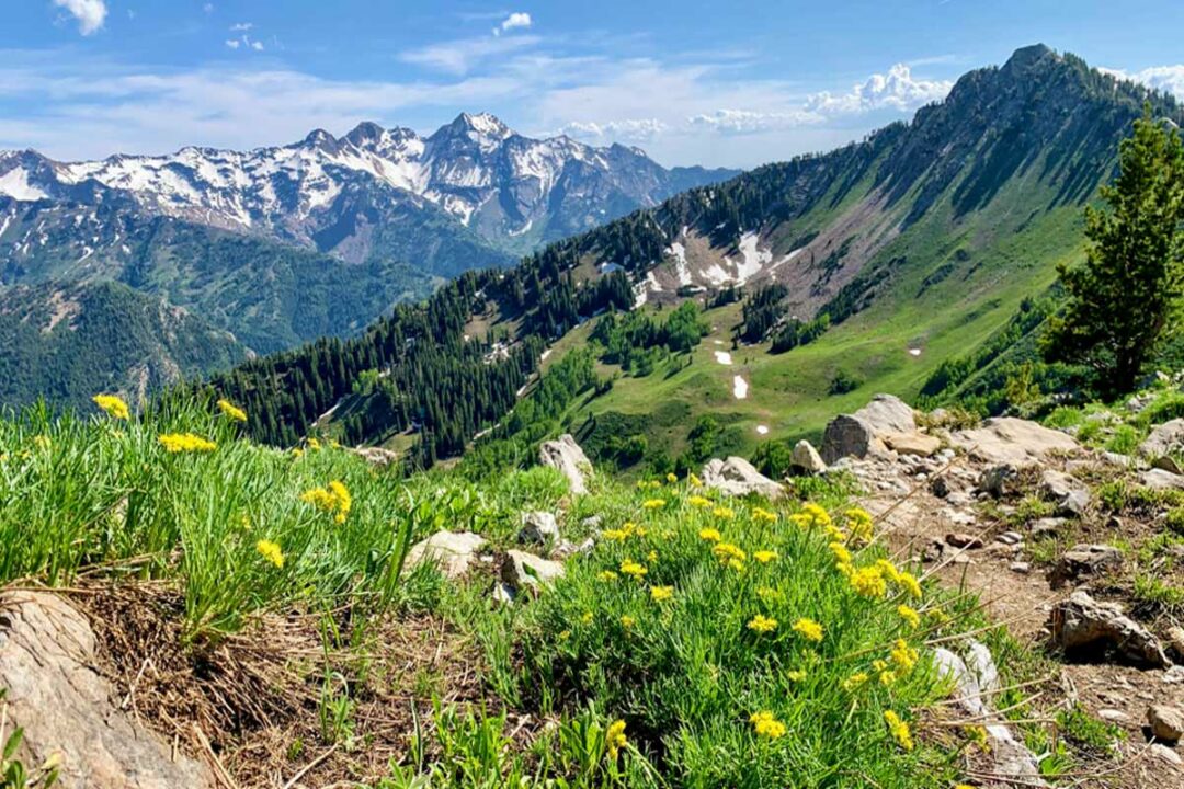 Best Hikes in Salt Lake City: 15 Epic Trails Insider s Utah