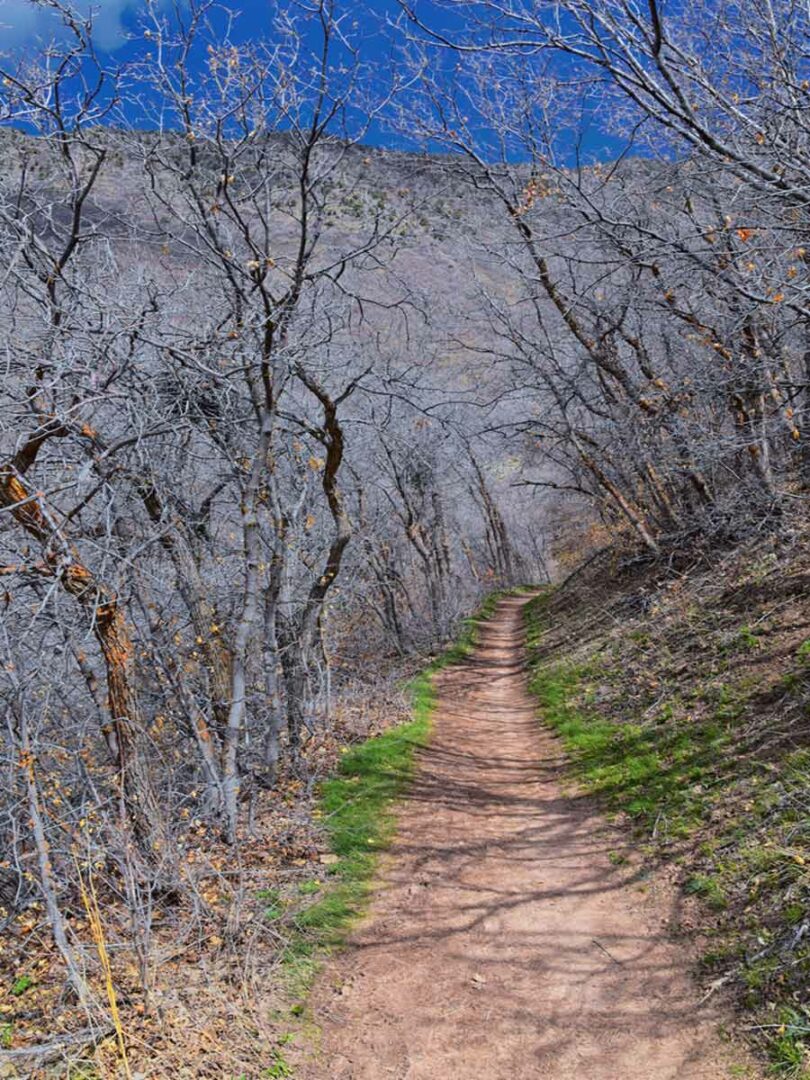 Best Hikes in Salt Lake City: 15 Epic Trails Insider s Utah