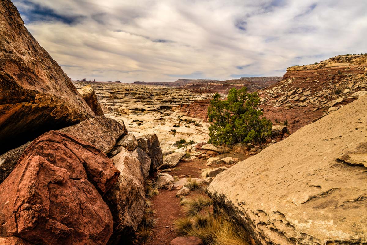 The Maze Overlook Trail in Canyonlands National Park in Utah