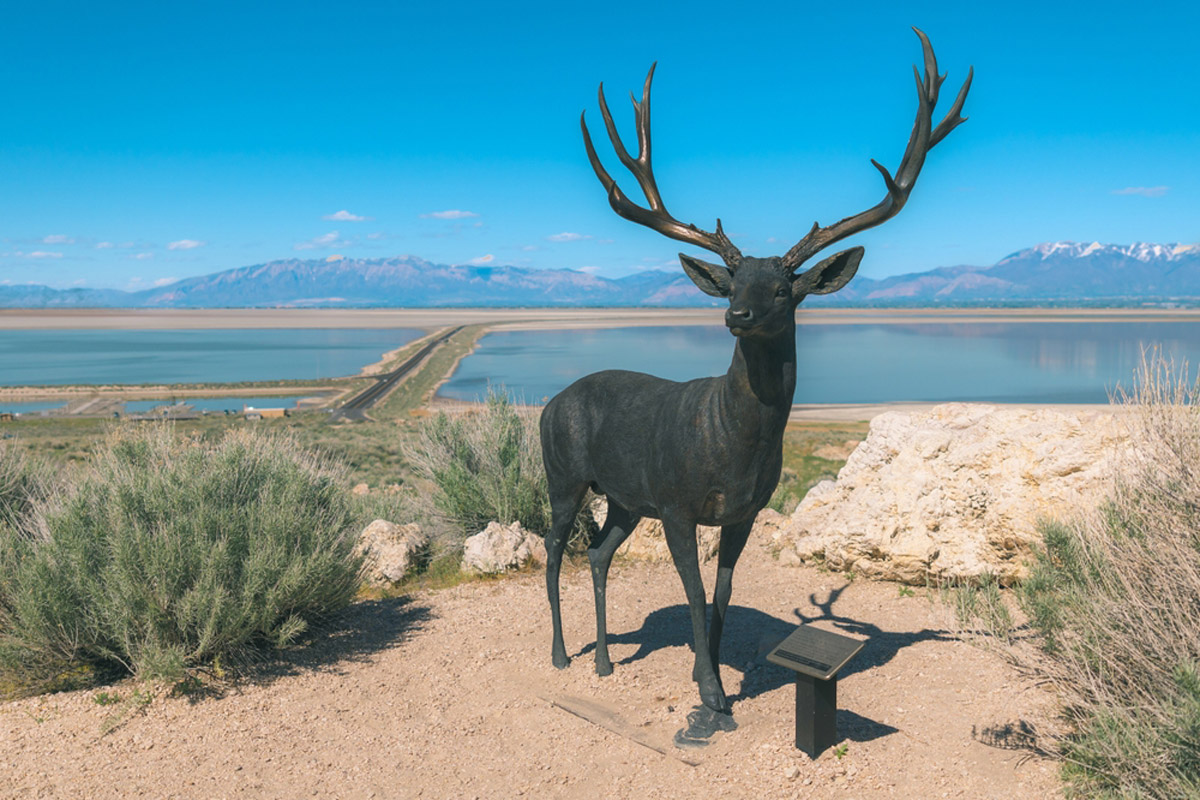 Antelope Island State Park