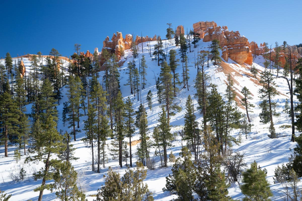 Bryce Canyon National Park in Winter