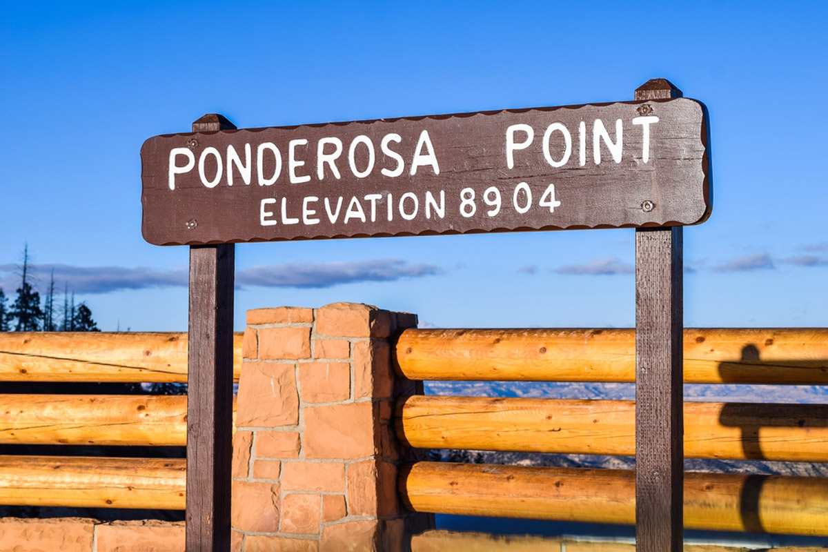  Ponderosa Point